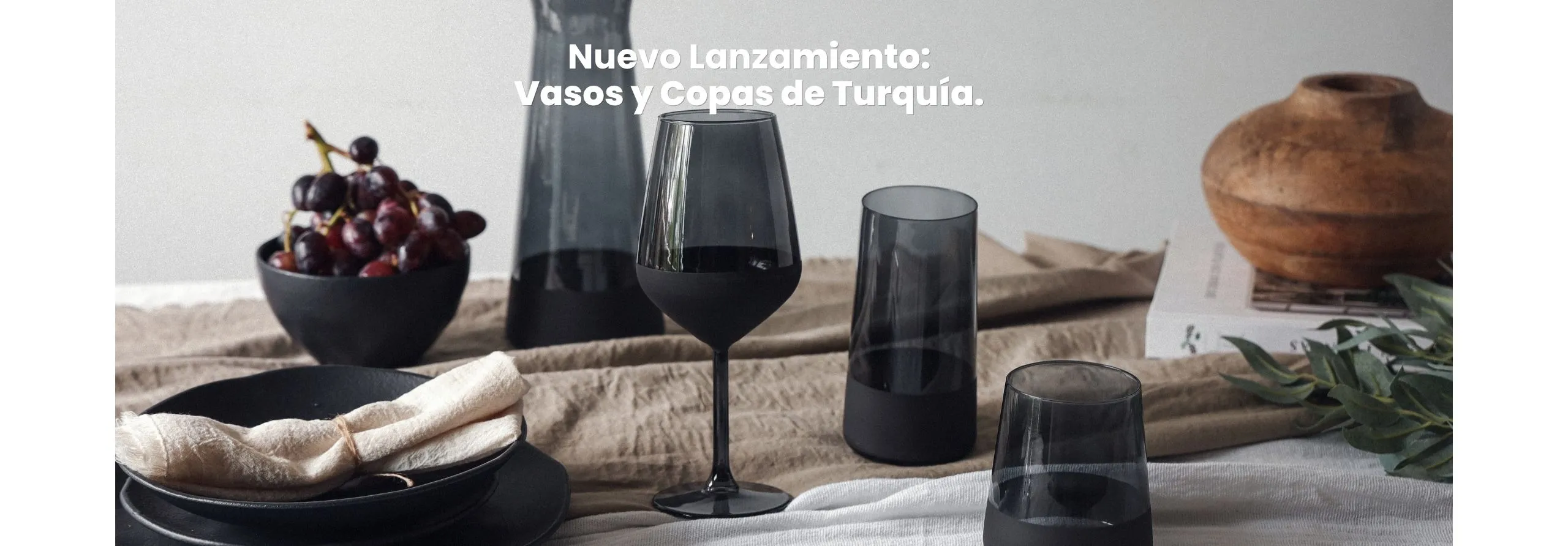 Nuevo Lanzamiento